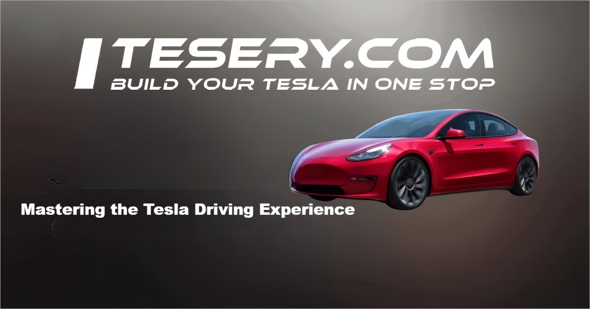 10 Must-Know Voice Commands to Master Your Tesla Driving Experience - Tesery Official Store