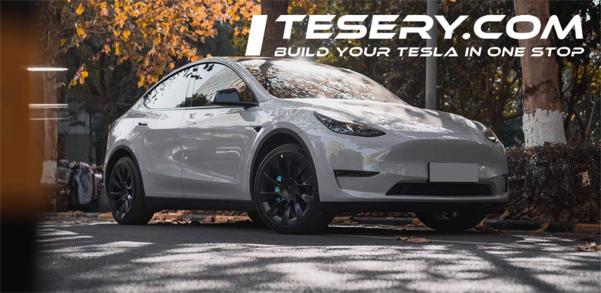 Tampa's DASH Program: Tesla Model Y Rides for Downtown Mobility - Tesery Official Store