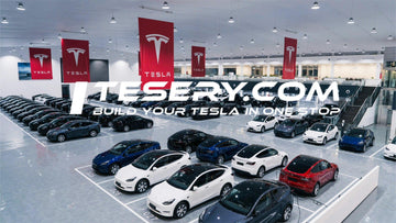 Tesla's China Recovery: Insurance Registrations Show Positive Trend - Tesery Official Store