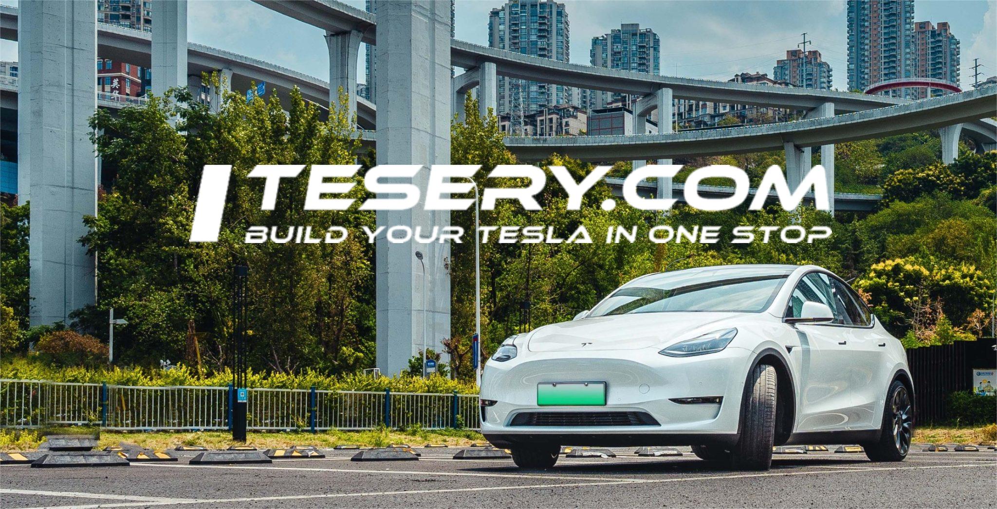 Tesla's Shanghai Customers Get Special Incentives: Shopping Vouchers and More - Tesery Official Store