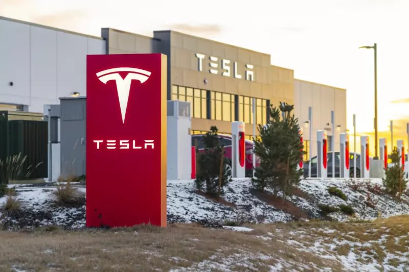 Understanding the Tesla Data Breach: Lessons in Data Security and Privacy - Tesery Official Store