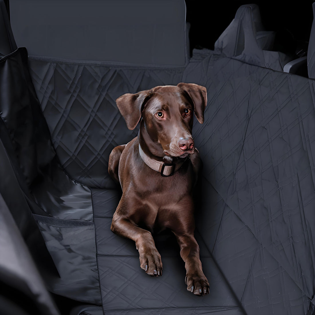 Full-Cover Rear Dog Seat Cover for Tesla Cybertruck