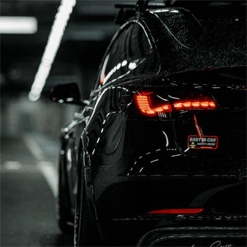 Dragon Scale Tail Lights for Tesla Model 3/Y