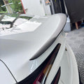 Model 3 Ludicrous Carbon Fiber Spoiler - Tesery Official Store