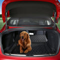 Waterproof Trunk Pet Mat for Tesla Model 3 - Tesery Official Store