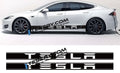 Car Door Side Skirt Stripes Sill Sticker Body Decal for Tesla Model S/3/X/Y (2pcs/set) - Tesery Official Store