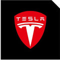 LED Logo Tesla Puddle Lights 2pcs/4pcs for Model 3/Y/S/X - Tesery Official Store