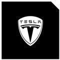 LED Logo Tesla Puddle Lights 2pcs/4pcs for Model 3/Y/S/X - Tesery Official Store