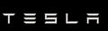 Tailgate lettered rear logo For Tesla Model 3/Y - Tesery Official Store