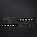 TESERY Logo Cover Front Badge Rear Letters Emblem for Tesla Model 3 / Y - Real Carbon Fiber - Tesery Official Store